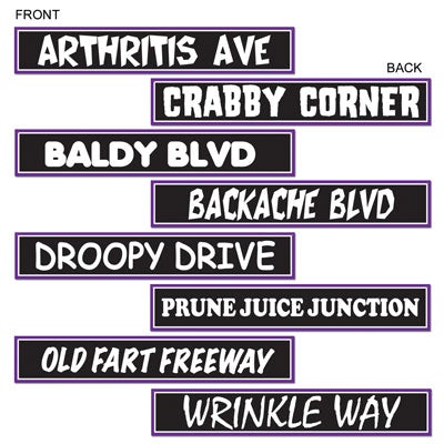 Beistle 54313 4-Pack 24 x 4 Over the Hill Street Sign Paperboard Cutouts