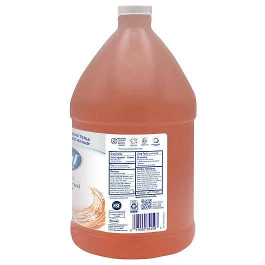 Dial Defense Original Antibacterial Foaming Hand Wash with Aloe Vera in a Gallon-Sized Refill Container for Foodservice