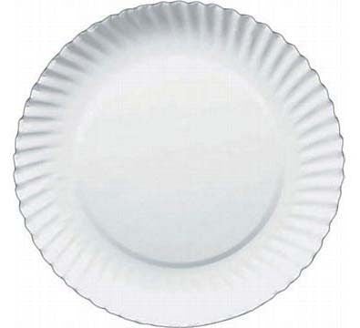 1000-Piece Case of 6-Inch White Disposable Paper Plates